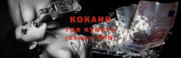 гидра Белокуриха