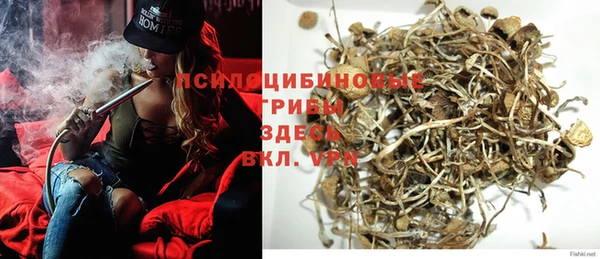 гидра Белокуриха