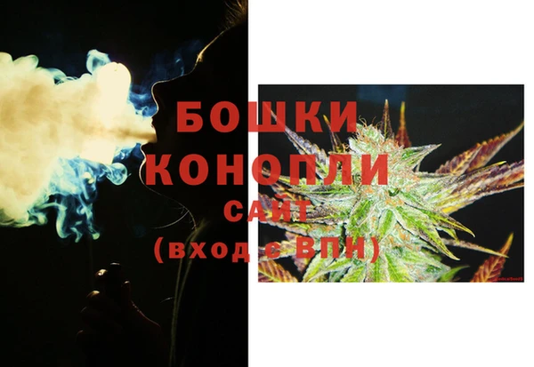 гидра Белокуриха