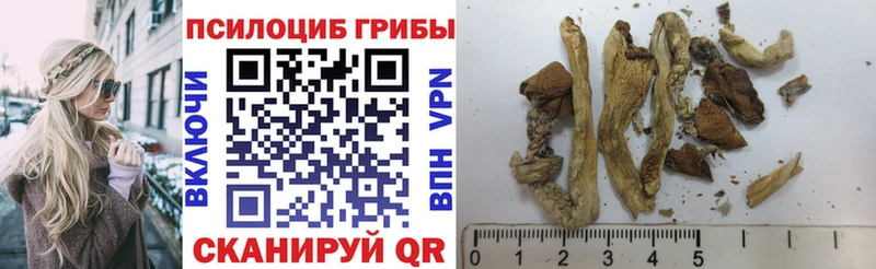 Галлюциногенные грибы мухоморы  наркошоп  Елабуга 