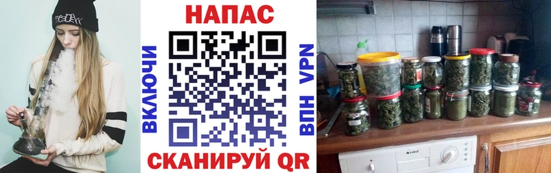 сколько стоит  Елабуга  блэк спрут как войти  Бошки марихуана Bruce Banner 